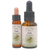 Oak - Bach Flower Remedies