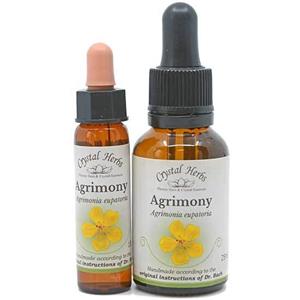 Agrimony - Bach Flower Remedy