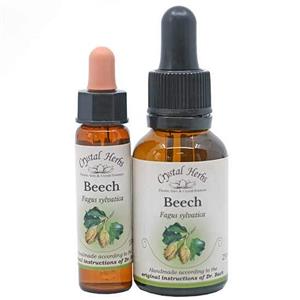 Beech - Bach Flower Remedies