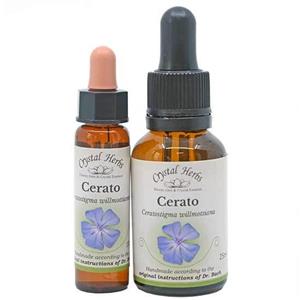 Cerato - Bach Flower Remedies