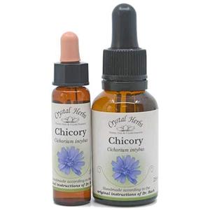 Chicory - Bach Flower Remedies