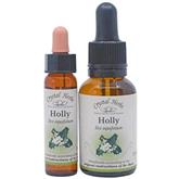 Holly - Bach Flower Remedies