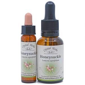 Honeysuckle - Bach Flower Remedies