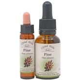 Pine - Bach Flower Remedies