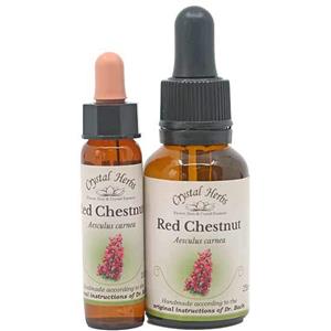 Red Chestnut - Bach Flower Remedies