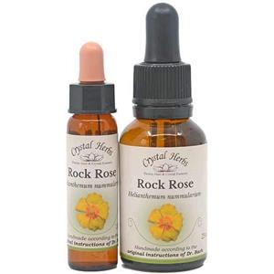 Rock Rose - Bach Flower Remedies