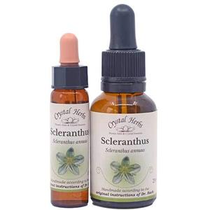Scleranthus - Bach Flower Remedies