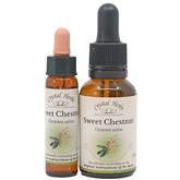 Sweet Chestnut - Bach Flower Remedies