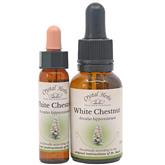 White Chestnut - Bach Flower Remedies