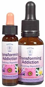 Transforming Addiction Essence